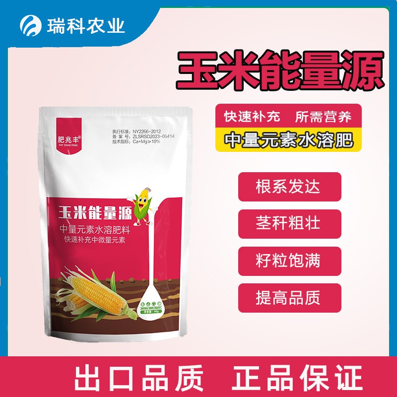 肥兆丰玉米能量源粒饱茎秆粗壮