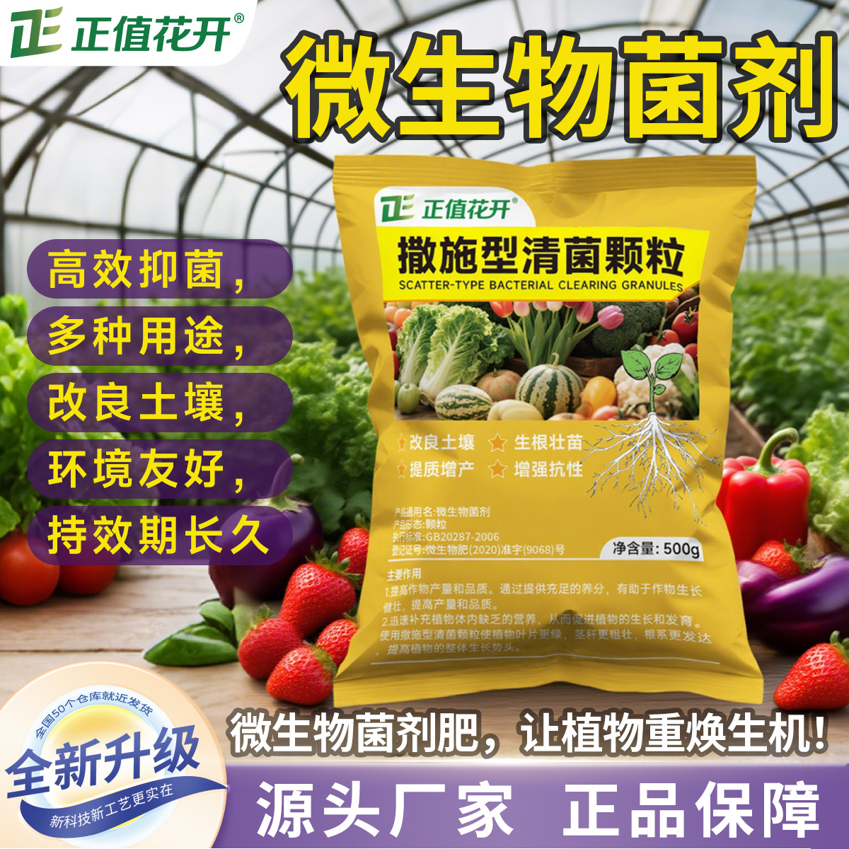 正值花开施通型清菌颗粒
