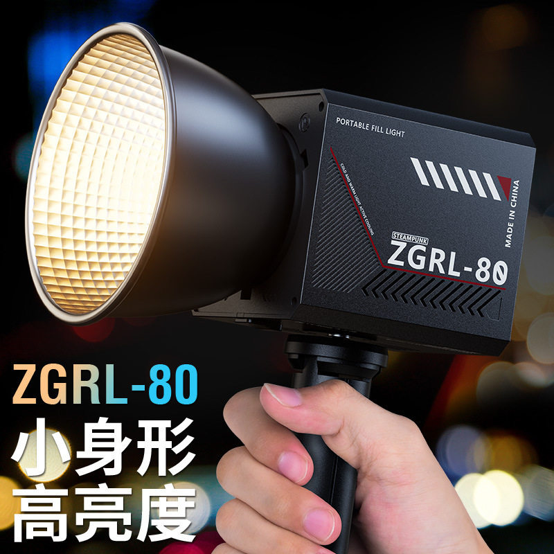 80W手持外拍灯COB大功率补光灯摄影灯专业视频拍摄舞台打光ZGRL80 - 实物图