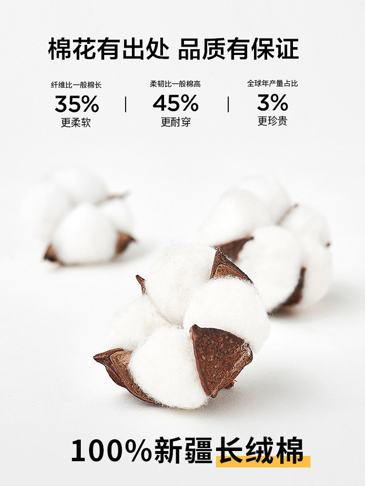 중년 및 노인 바닥 셔츠 정장 남성 순면 봄 가을 열 속옷 순면 중년 아빠 남성 가을 옷과 긴 바지