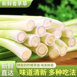 香茅草新鲜香料柠檬草鲜香茅商用农家自种时令当季蔬菜食用野菜