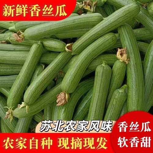 苏北香丝瓜新鲜短肉丝瓜