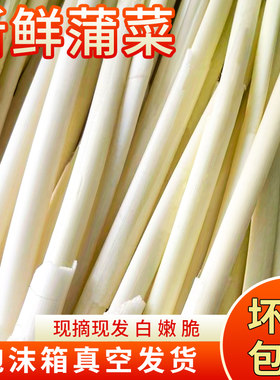 苏北农家蒲菜新鲜蔬菜现摘真空装