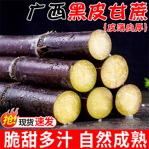 正宗广西黑皮甘蔗新鲜水果