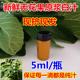 新鲜无花果白汁原浆乳液无花果茎枝叶汁液现挤现发5ml 包邮