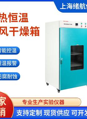 鼓风干燥箱DHG-9620A高温数显烘干箱立式电热恒温热风循环干燥箱