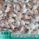 新鲜干大蒜瓣大颗粒蒜头腌制肉串河南杞县紫皮大蒜头干蒜5斤蒜瓣