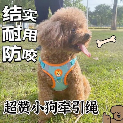 幼犬牵引绳小奶狗专用狗绳小型犬小体泰迪比熊博美1斤2斤训练可用