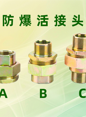 BHJ防爆活接头定制DN15内外螺纹4/6分外碳钢镀锌管道桥架变径接头