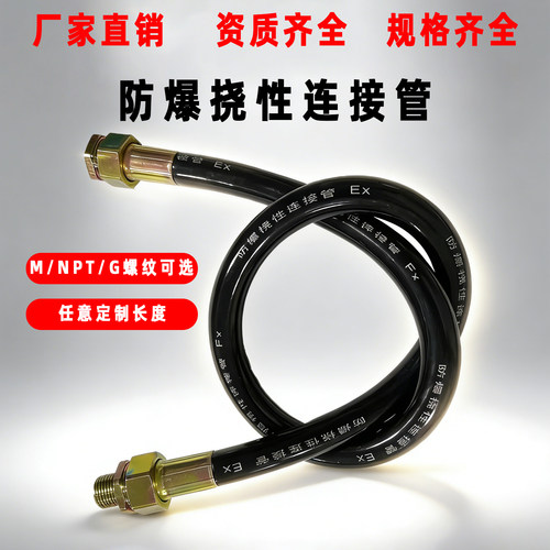 DN20防爆挠性连接管厂家直销