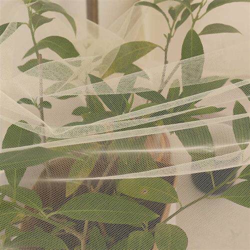 传统特加密学生宿舍上下铺蚊帐/寝室防尘顶家用双人床老式蚊帐