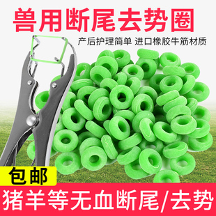 断尾钳猪用断尾圈兽用去势圈扩张钳羊羔猪仔断尾神器无血去势断尾