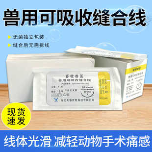 兽用可吸收缝合线猪牛羊用羊肠线兽用免拆除缝合线肉线可吸收