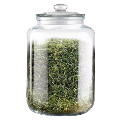 玻璃茶叶罐大号陈皮储存罐