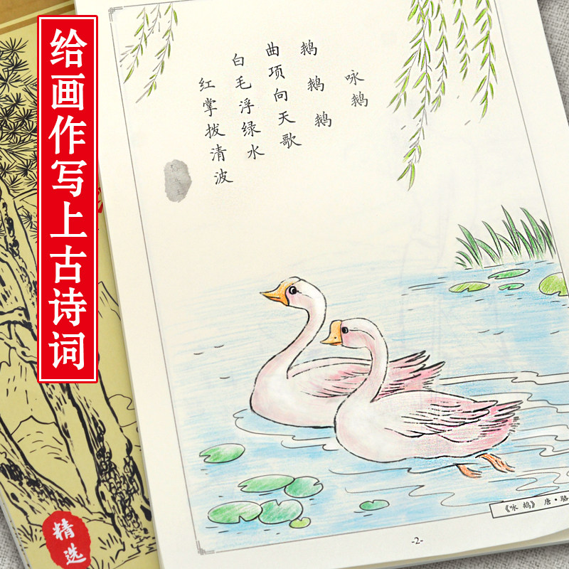 中国画白描古诗词零基础入门工笔花鸟描画白描底稿描摹本线描画册