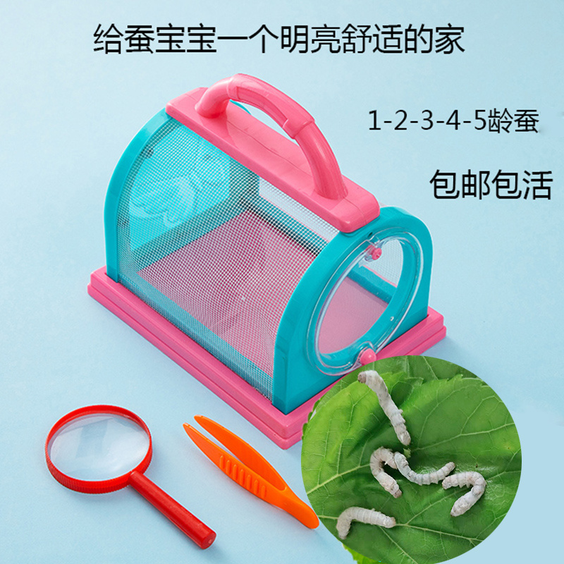 蚕宝宝1龄234龄蚕的家学生养蚕套装手提观察饲养箱蚕别墅新鲜桑叶