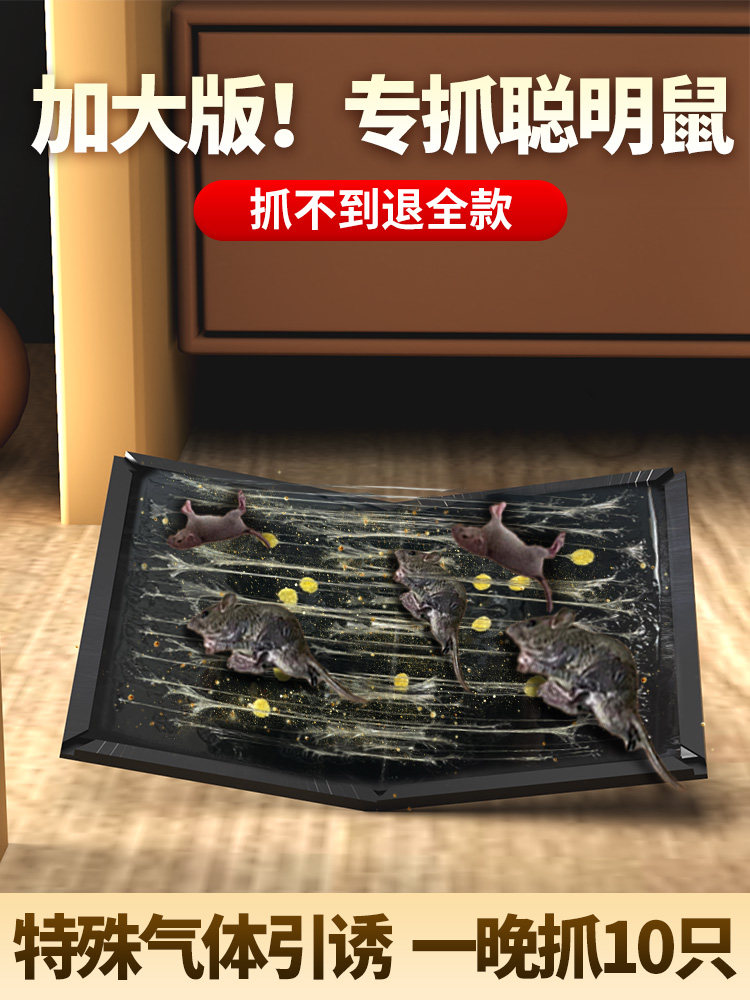 山山粘鼠板超强力老鼠贴抓大老鼠夹扑捉灭鼠胶沾正品家用捕鼠神器属于什么档次？