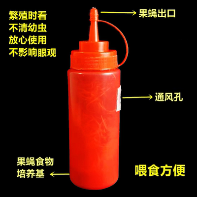 包邮果蝇杯无翅小果蝇杯螳螂跳蛛活体饲料果蝇活体残翅果杯200只