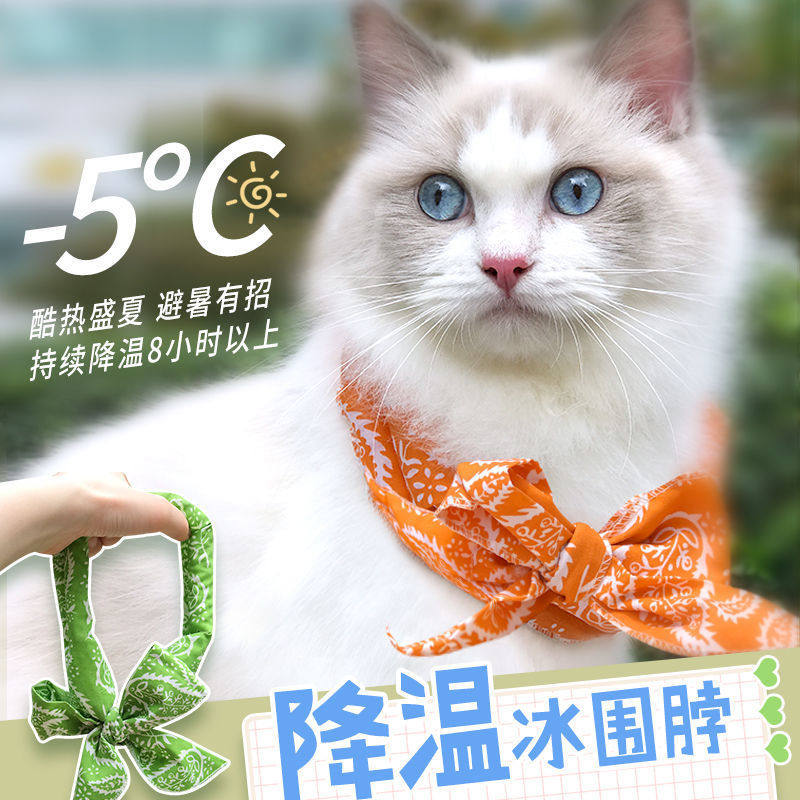 夏季宠物温冰猫咪狗狗围巾