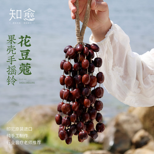 知愈天然果壳摇铃手工果壳疗愈