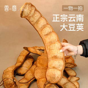 云南果壳天然藤编大豆荚装饰摆件田园风植物造型家居工艺品