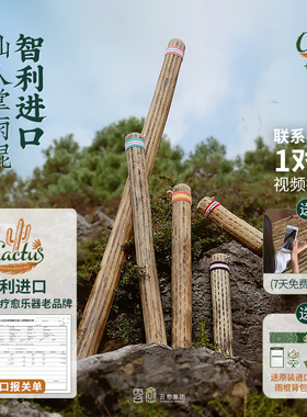 云愈仙人掌疗愈雨棍智利进口民族乐器瑜伽小众手工礼盒雨声筒乐器