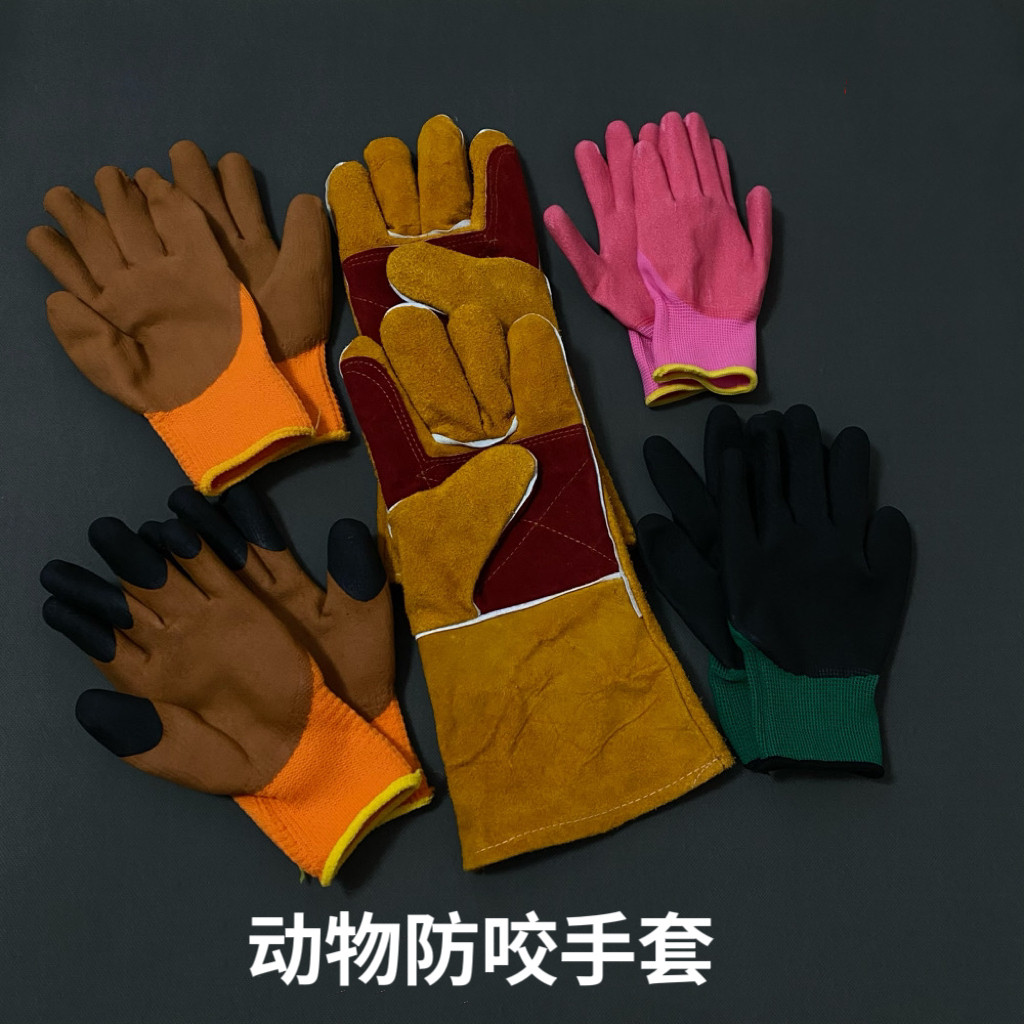 小鼠防咬手套大鼠猫犬防撕咬手套加厚加长手套实验用,畜牧/养殖物资,畜牧/养殖器械,淘宝优惠券,粉丝福利购,淘宝优惠卷