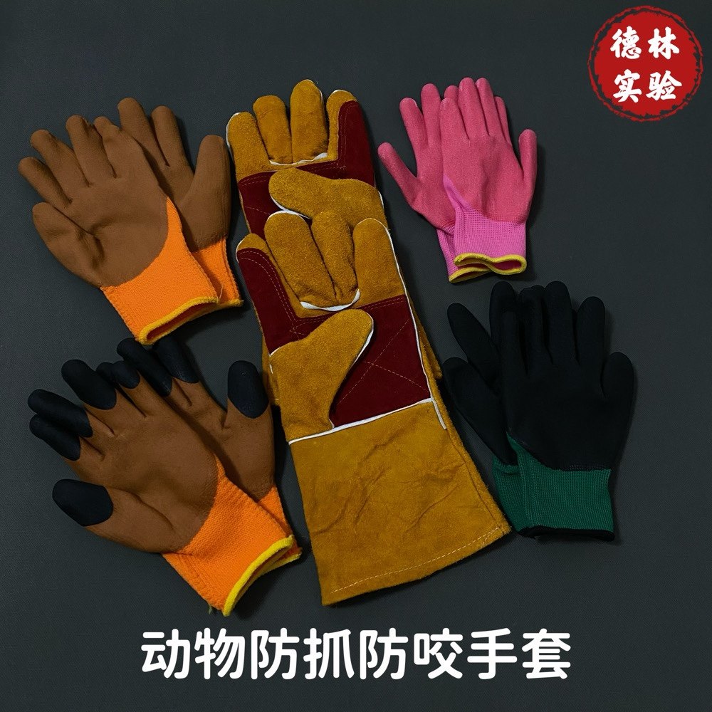 小鼠防咬手套大鼠猫犬防撕咬手套加厚加长手套实验用