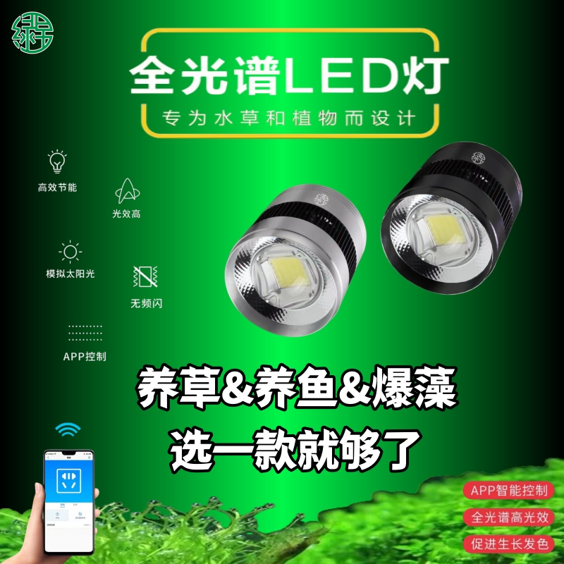 原生态溪流缸爆藻灯吉罗鱼增色灯