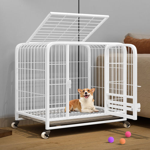 小型犬狗笼子宠物泰迪柴