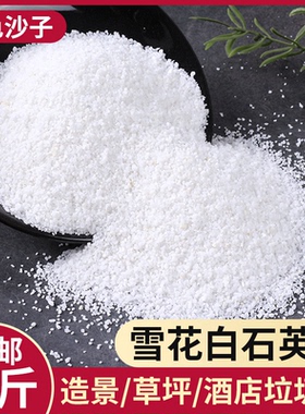 纯白石英砂颗粒细沙白色砂子枯山水庭院造景酒店造景垃圾桶灭