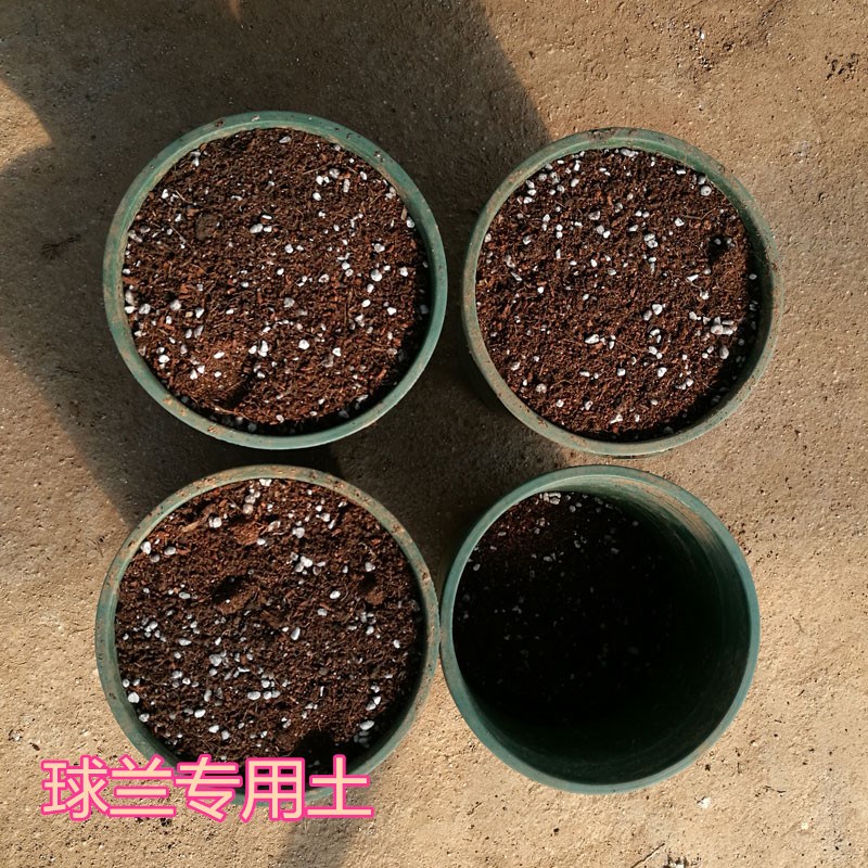 育苗基质种菜种花有机 球兰植料 球兰培养土 自配球兰专用土图片