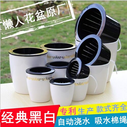 吸水盆栽好超大食虫植物带分株捕蝇草瓶子草爆盆巨大捕虫草食人花