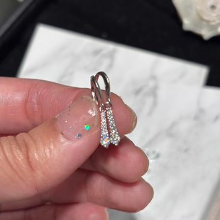 设计感法式超闪领带排钻耳环女轻奢小众高级感耳钩精致气质耳饰秋