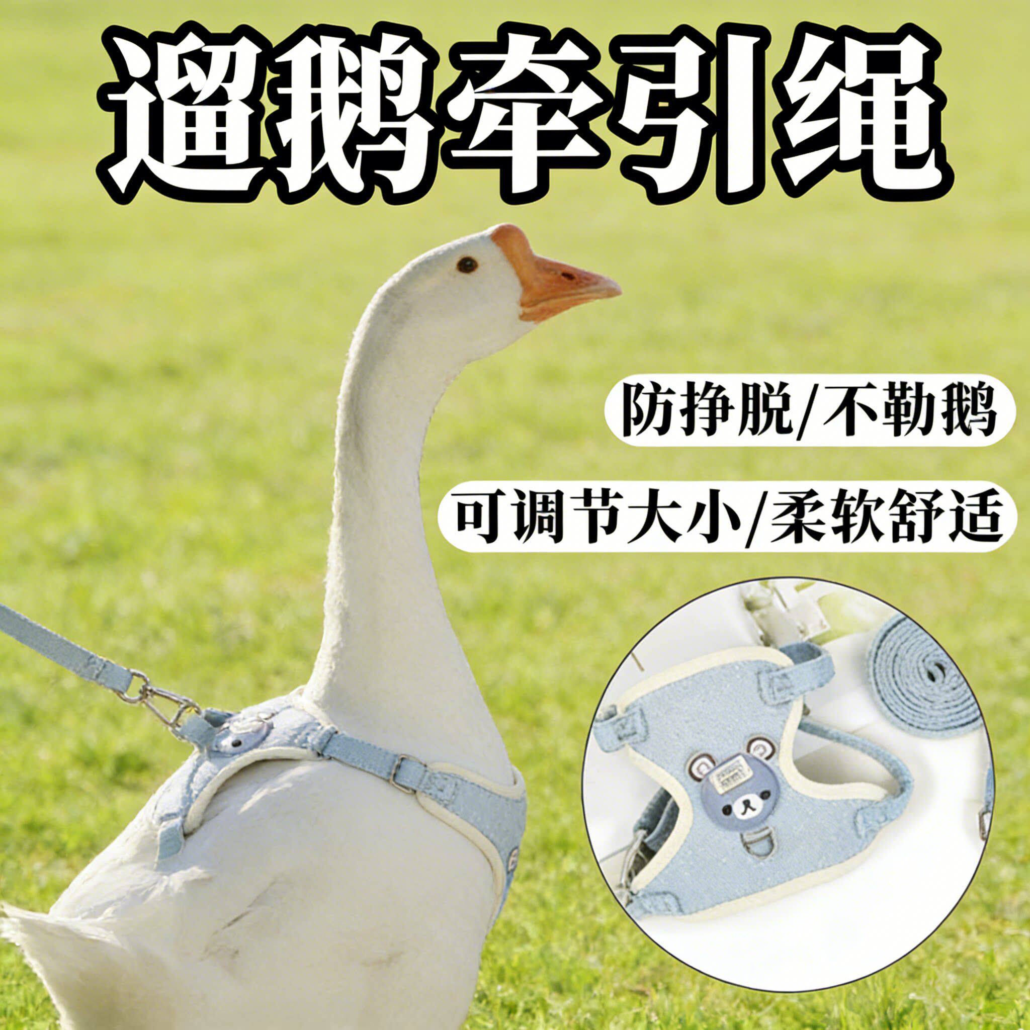 遛鹅专用牵引绳背心式自动伸缩外出神器四季狮头鹅外带宠物用品