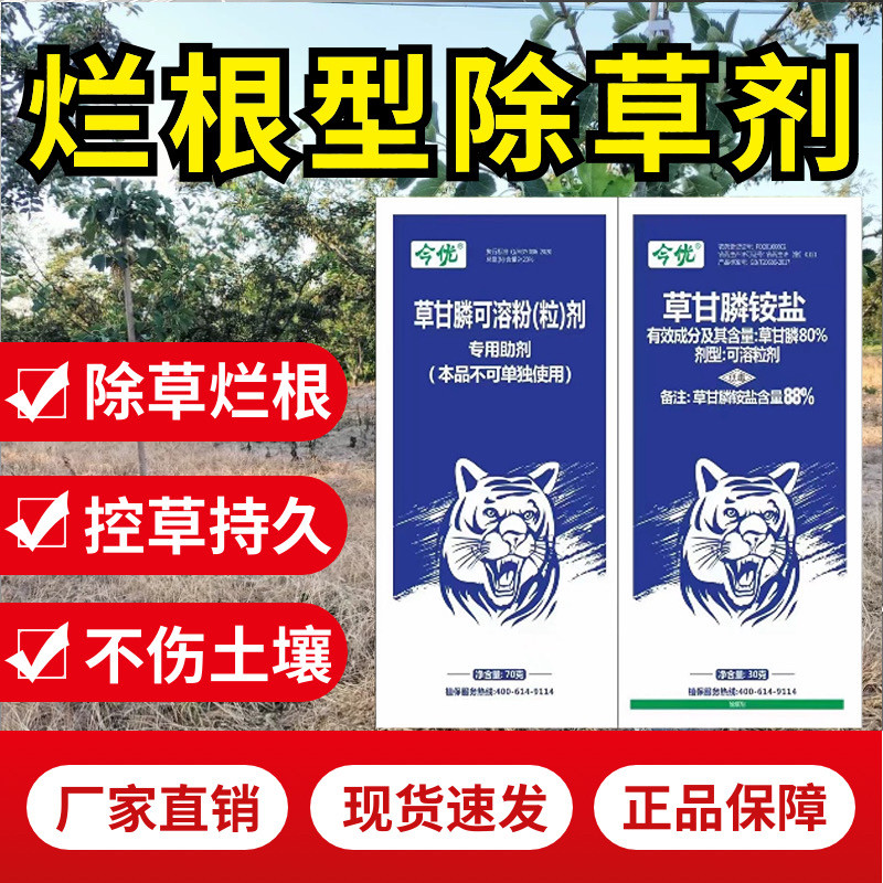 烂根正品除草剂果园除草死根烂根