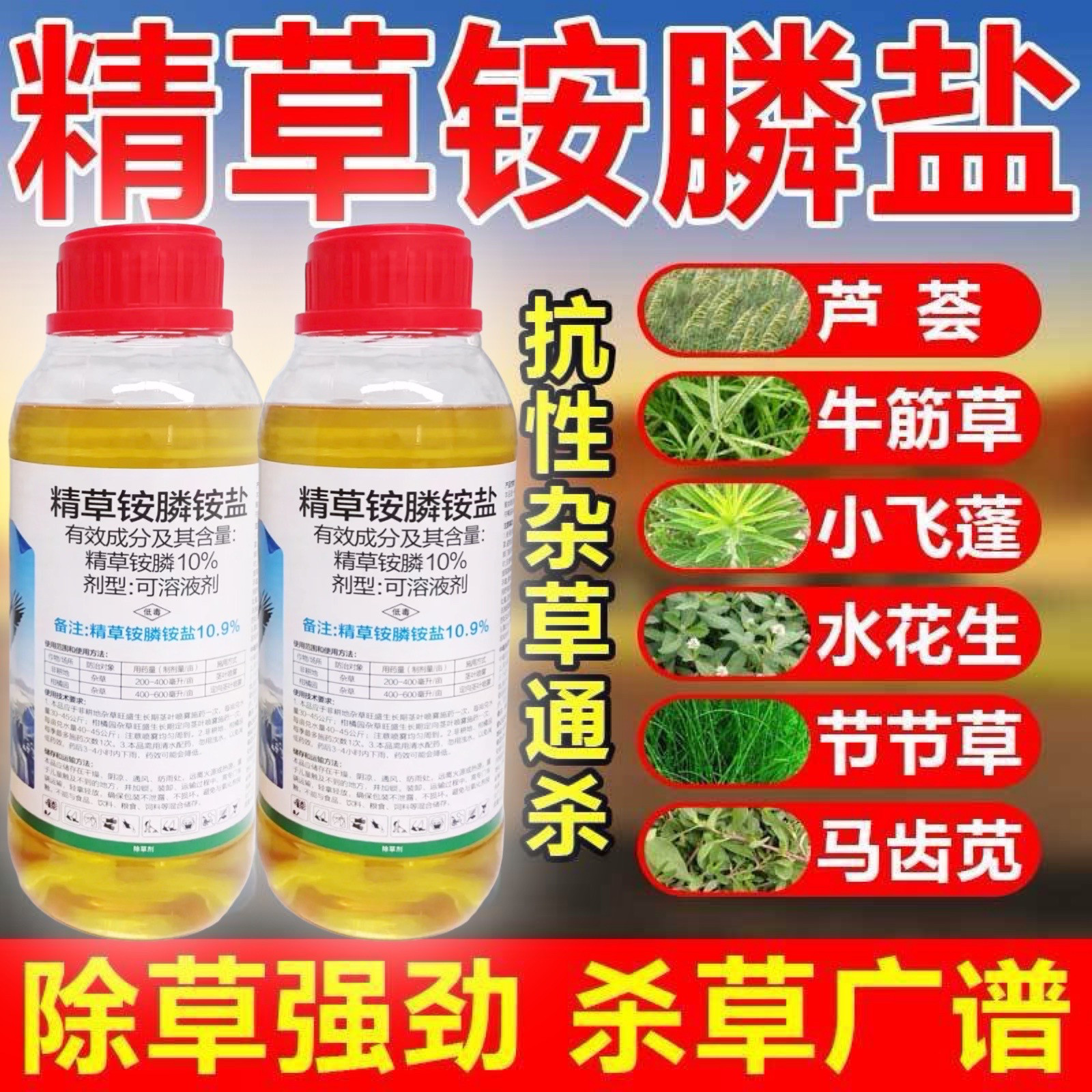 高效烂根杀牛筋草小飞蓬杀草彻底