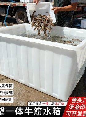 牛筋水箱加厚加大长方形塑料盆泡瓷砖大号养鱼菜市场水产养殖家用