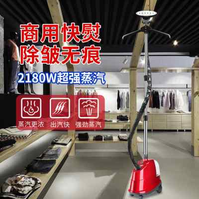 铭心挂烫机家用蒸汽大功率熨烫机商用服装店专用立式烫衣服电熨斗