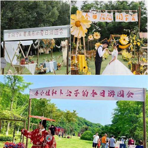 露营木架子民宿篝火派对草地野营地门架旗帜架装饰树干拱门轻奢
