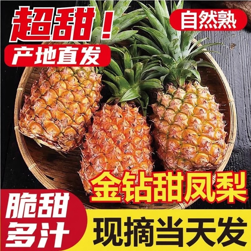 海南金钻凤梨17号自然熟果香浓郁当季新鲜现摘大果脆甜多汁手撕