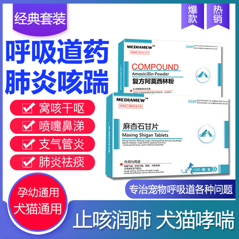 狗狗哮喘气管炎猫肺炎咳嗽干咳