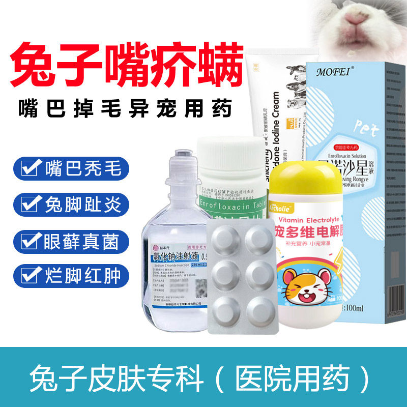兔子嘴巴脱毛疥螨药嘴掉毛真菌感染皮肤病兔兔足底炎侏儒兔嘴没毛