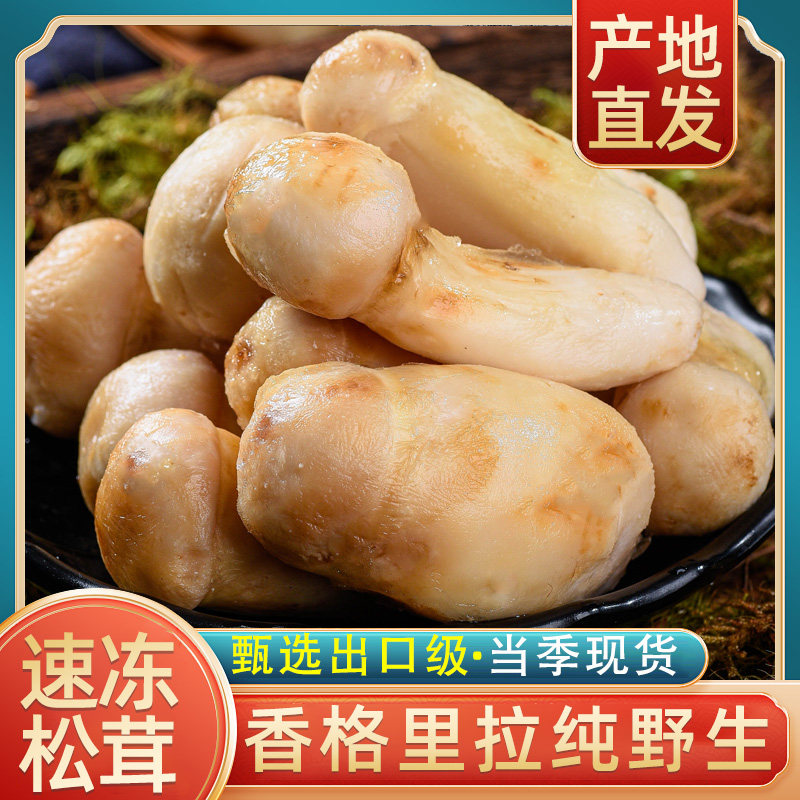 2025云南速冻松茸香格里拉纯野生新鲜松茸菌菇特产不开伞官方正品