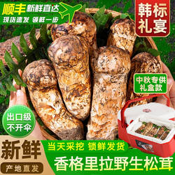 香格里拉松茸新鲜云南野生菌特产出口级官方旗舰店不开伞中秋礼盒
