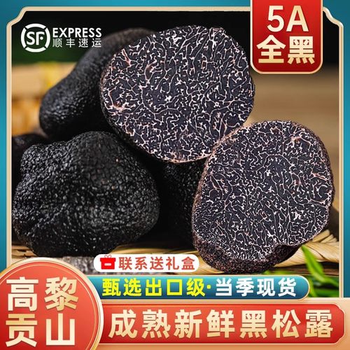 新鲜黑松露云南特产食用菌