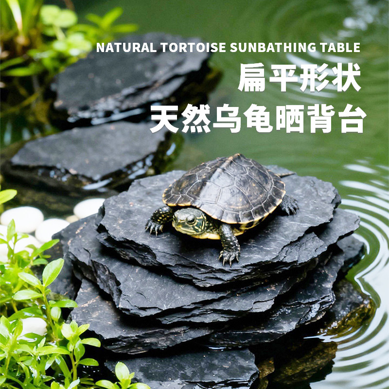 天然黑片岩乌龟晒背台鱼缸造景石不规则水龟晒台观赏石造景装饰