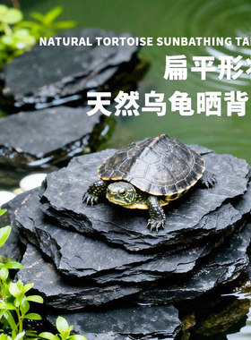 天然黑片岩乌龟晒背台鱼缸造景石不规则水龟晒台中型鱼缸装饰用品