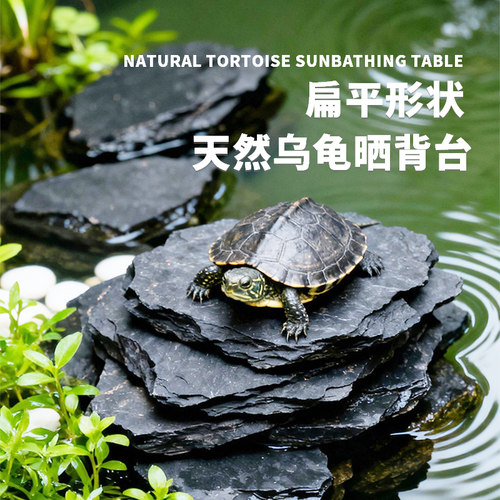 天然黑片岩乌龟晒背台鱼缸造景石