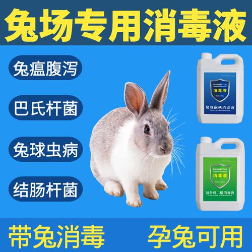 兔场消毒液带兔笼兔窝兔舍消毒液养殖场专用兽用孕兔用消毒液剂水